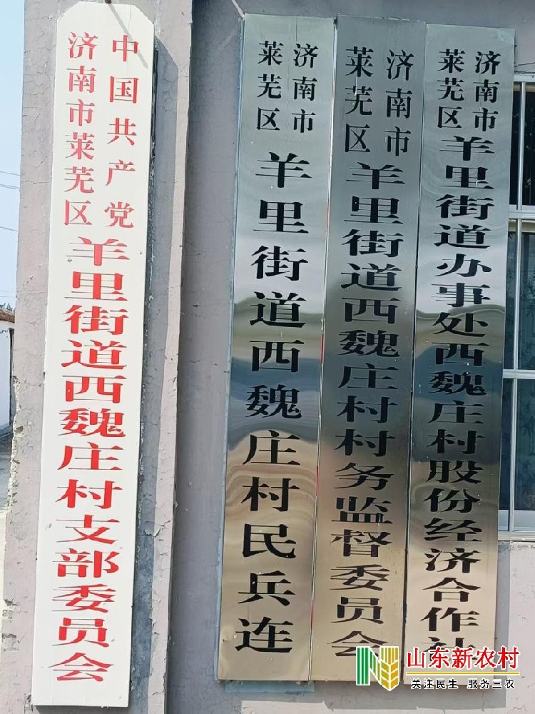 暖光送温暖，走进羊里街道西魏村